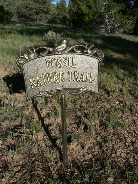Fossil Trail Cimarron Rose For Sale