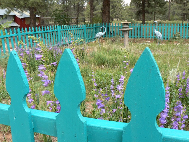 Meadow with Cranes Cimarron Rose For Sale
